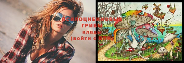 apvp Алексин
